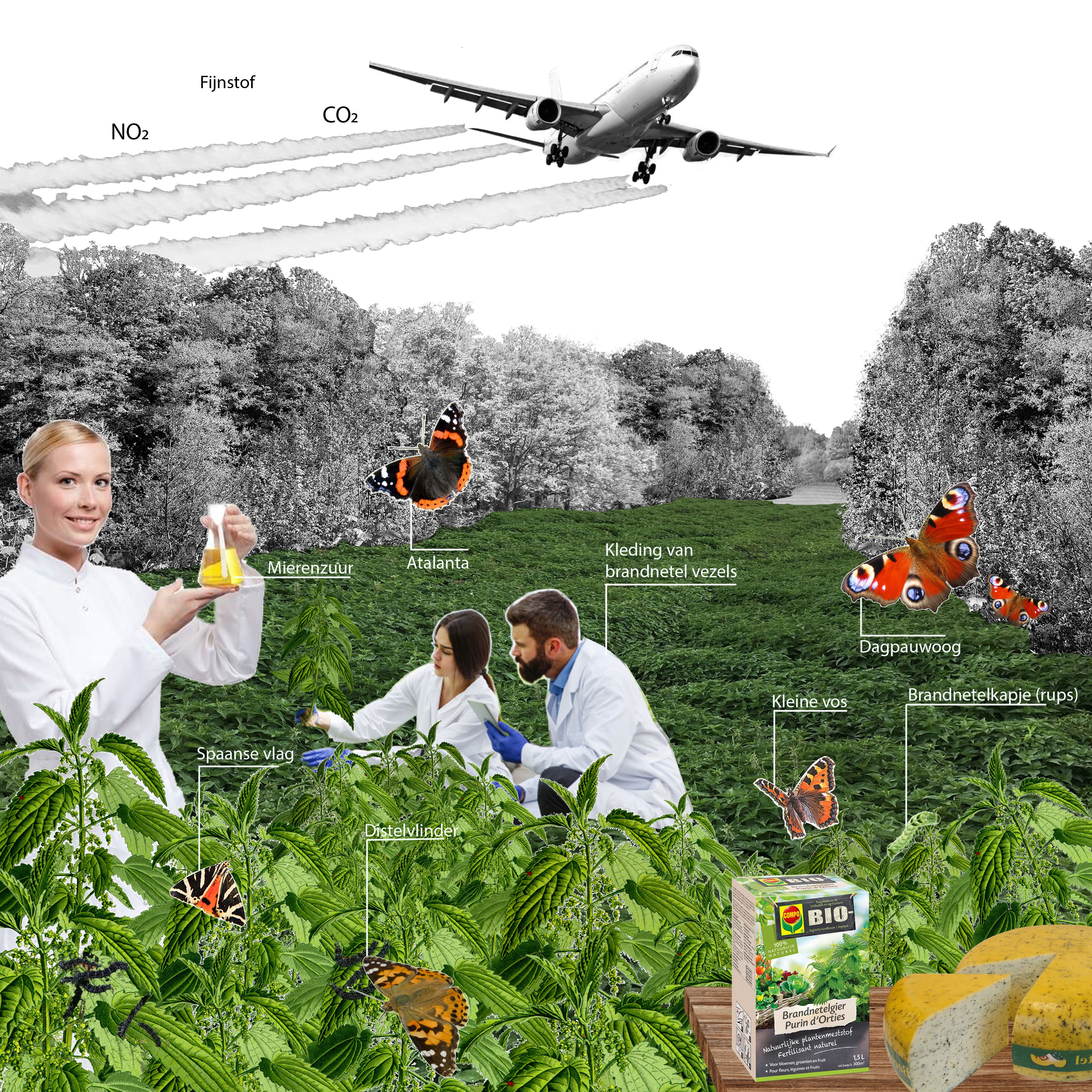 Toekomstvisie Amsterdamse Bosscheg door LAMA landscape architects